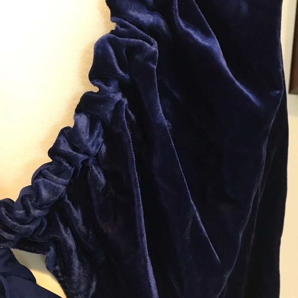 Blue Velvet Top